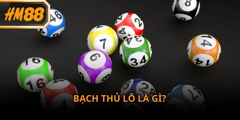 Khái niệm bạch thủ lô được nhiều hội viên HM88 quan tâm và tìm hiểu