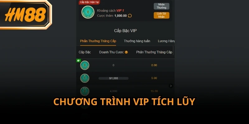 Chương trình VIP cho phép hội viên tích lũy điểm dựa trên mức độ tham gia