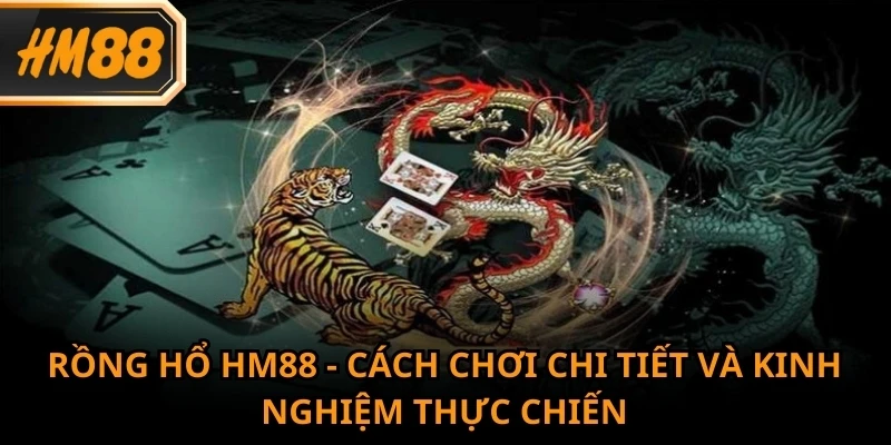 Rồng Hổ HM88