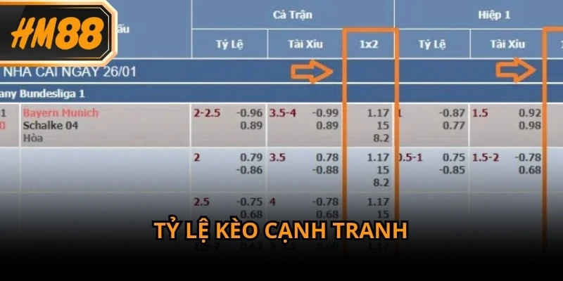 Tỷ lệ kèo là yếu tố ảnh hưởng trực tiếp đến quyết định đặt cược thể thao